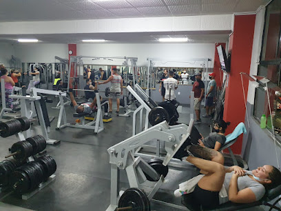 Academia Arena Trainer