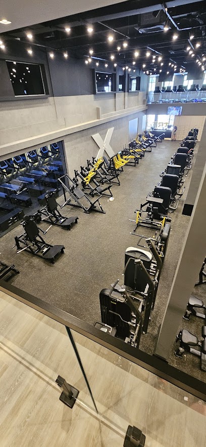 Xtrack Academia