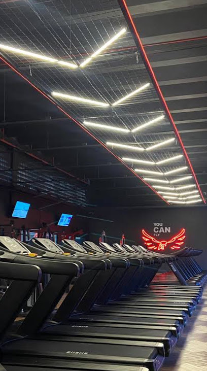 Skyfit Academia