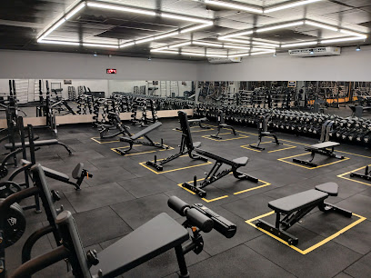 John Boy Academia 24h