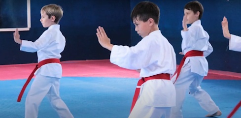 Pináculo l Escola de Karatê-dô