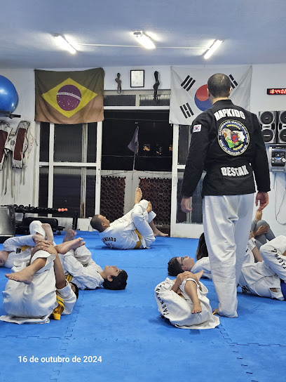 Academia Destak - Taekwondo / Hapkido