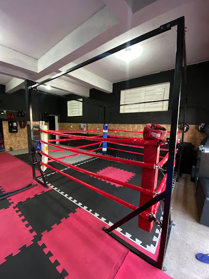 CT WJ Muay Thai
