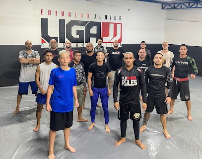 Liga Jiu Jitsu
