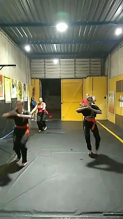 Toca do Dragão Kung Fu Wushu