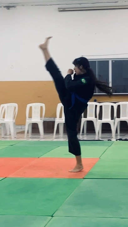 Hapkido Johwa
