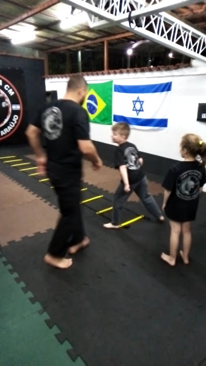 Krav Maga Kapap-Survive