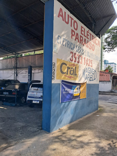 Auto Elétrica Paraiso